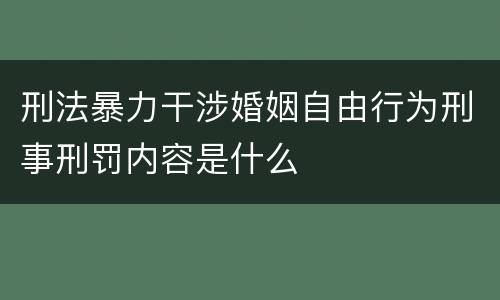 刑法暴力干涉婚姻自由行为刑事刑罚内容是什么