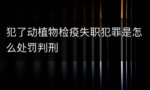 对传播淫秽物品行为规定定罪量刑档次