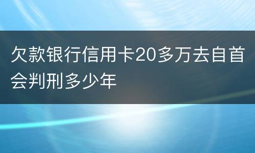 欠款银行信用卡20多万去自首会判刑多少年