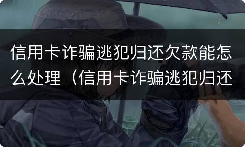 信用卡诈骗逃犯归还欠款能怎么处理（信用卡诈骗逃犯归还欠款能怎么处理吗）