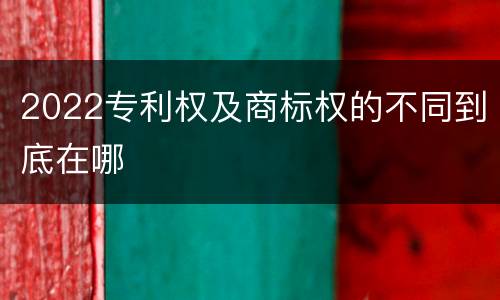 2022专利权及商标权的不同到底在哪