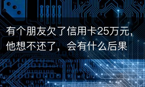 有个朋友欠了信用卡25万元，他想不还了，会有什么后果