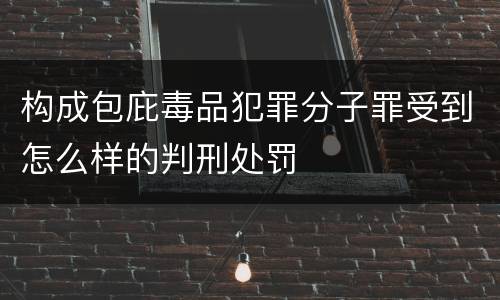 构成包庇毒品犯罪分子罪受到怎么样的判刑处罚