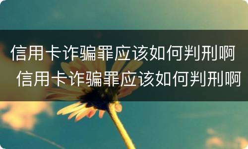 信用卡诈骗罪应该如何判刑啊 信用卡诈骗罪应该如何判刑啊判多久