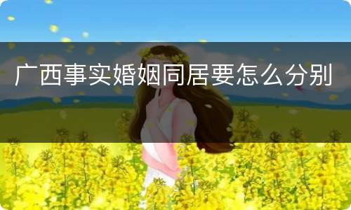 广西事实婚姻同居要怎么分别