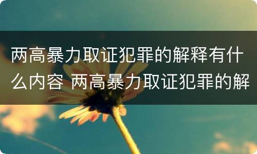 两高暴力取证犯罪的解释有什么内容 两高暴力取证犯罪的解释有什么内容吗