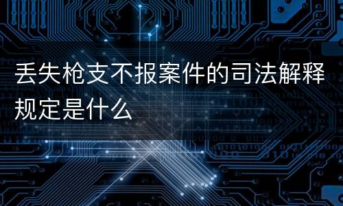 丢失枪支不报案件的司法解释规定是什么