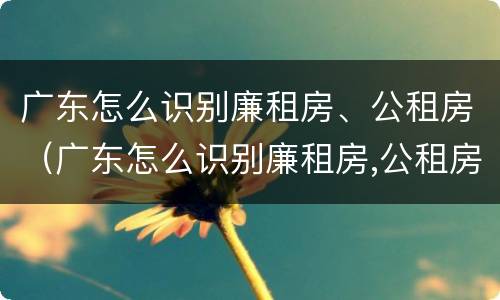 广东怎么识别廉租房、公租房（广东怎么识别廉租房,公租房名单）