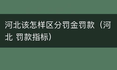 河北该怎样区分罚金罚款（河北 罚款指标）