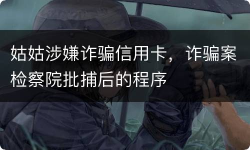 姑姑涉嫌诈骗信用卡，诈骗案检察院批捕后的程序