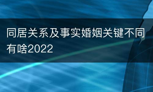 同居关系及事实婚姻关键不同有啥2022