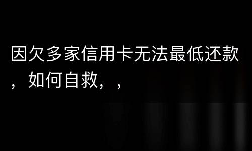 因欠多家信用卡无法最低还款，如何自救，，