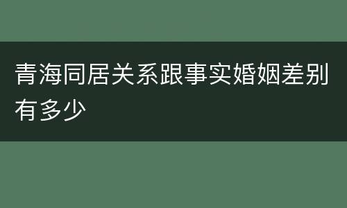 青海同居关系跟事实婚姻差别有多少