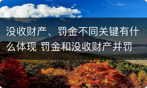 没收财产、罚金不同关键有什么体现 罚金和没收财产并罚