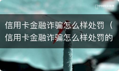 信用卡金融诈骗怎么样处罚（信用卡金融诈骗怎么样处罚的）