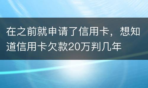 在之前就申请了信用卡，想知道信用卡欠款20万判几年