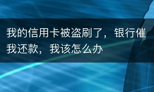 我的信用卡被盗刷了，银行催我还款，我该怎么办