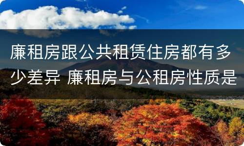 廉租房跟公共租赁住房都有多少差异 廉租房与公租房性质是一样的吗