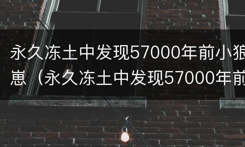 永久冻土中发现57000年前小狼崽（永久冻土中发现57000年前小狼崽怎么处理）