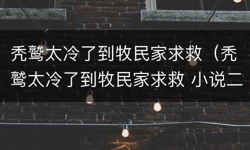 秃鹫太冷了到牧民家求救（秃鹫太冷了到牧民家求救 小说二）