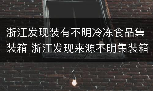 浙江发现装有不明冷冻食品集装箱 浙江发现来源不明集装箱