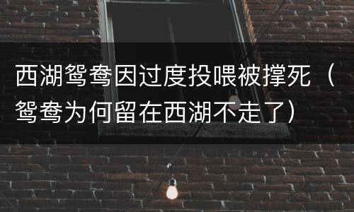 西湖鸳鸯因过度投喂被撑死（鸳鸯为何留在西湖不走了）