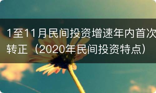 1至11月民间投资增速年内首次转正（2020年民间投资特点）