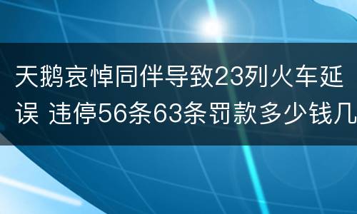 天鹅哀悼同伴导致23列火车延误 违停56条63条罚款多少钱几分