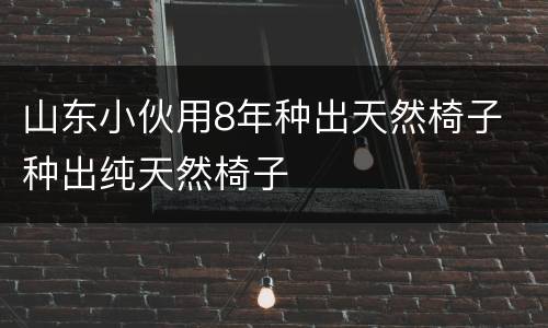 山东小伙用8年种出天然椅子 种出纯天然椅子