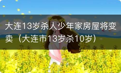 大连13岁杀人少年家房屋将变卖（大连市13岁杀10岁）