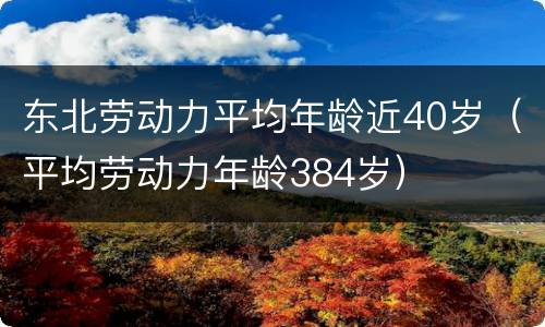 东北劳动力平均年龄近40岁（平均劳动力年龄384岁）