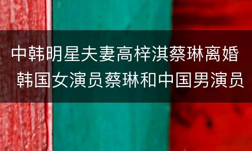 中韩明星夫妻高梓淇蔡琳离婚 韩国女演员蔡琳和中国男演员高梓淇的婚礼