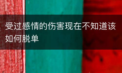 受过感情的伤害现在不知道该如何脱单