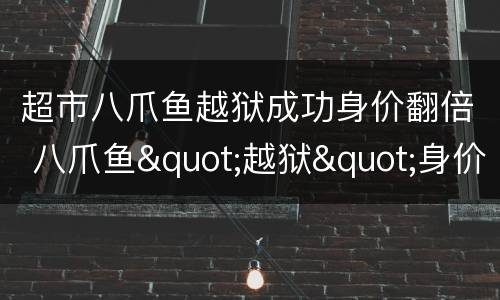 超市八爪鱼越狱成功身价翻倍 八爪鱼"越狱"身价翻倍