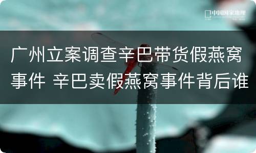 广州立案调查辛巴带货假燕窝事件 辛巴卖假燕窝事件背后谁策划的