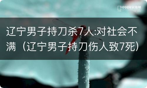 辽宁男子持刀杀7人:对社会不满（辽宁男子持刀伤人致7死）