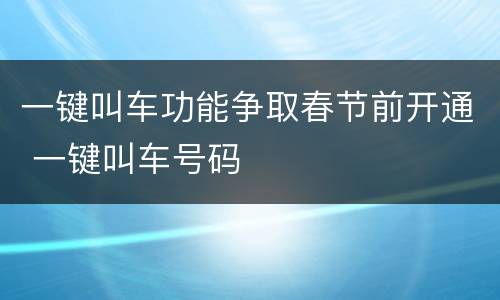 一键叫车功能争取春节前开通 一键叫车号码