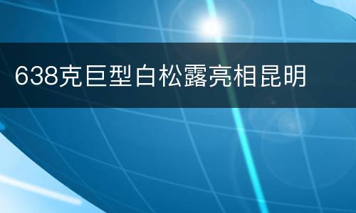 638克巨型白松露亮相昆明