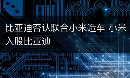 比亚迪否认联合小米造车 小米入股比亚迪