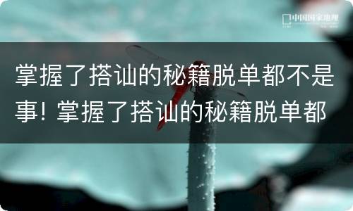 掌握了搭讪的秘籍脱单都不是事! 掌握了搭讪的秘籍脱单都不是事吗