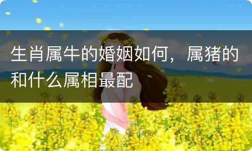 生肖属牛的婚姻如何，属猪的和什么属相最配