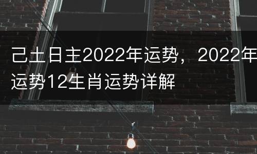 己土日主2022年运势，2022年运势12生肖运势详解