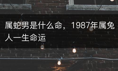 属蛇男是什么命，1987年属兔人一生命运