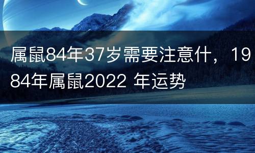 属鼠84年37岁需要注意什，1984年属鼠2022 年运势