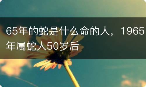 65年的蛇是什么命的人，1965年属蛇人50岁后