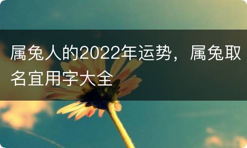 属兔人的2022年运势，属兔取名宜用字大全