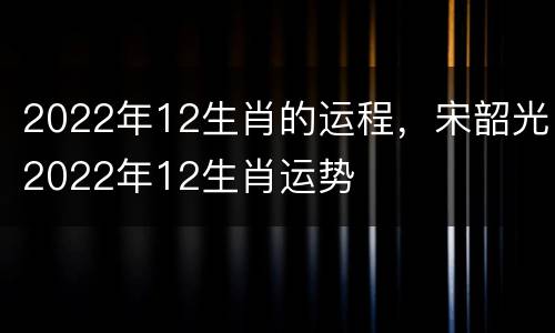 2022年12生肖的运程，宋韶光2022年12生肖运势