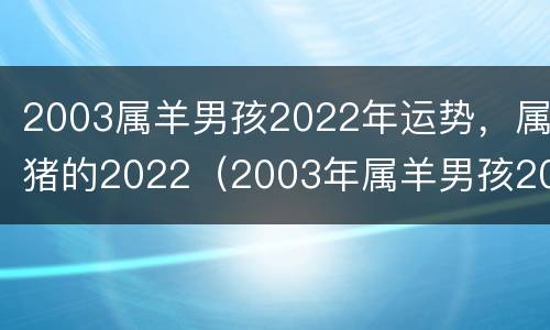 2003属羊男孩2022年运势，属猪的2022（2003年属羊男孩2020年运势）