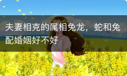 夫妻相克的属相兔龙，蛇和兔配婚姻好不好