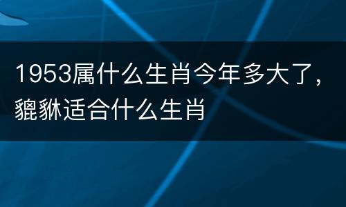1953属什么生肖今年多大了，貔貅适合什么生肖